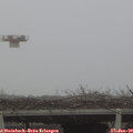 10_40-mast.jpg