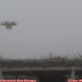 10_45-mast.jpg