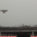 11_00-mast.jpg