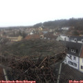 11_05-nest.jpg