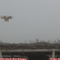11_15-mast.jpg