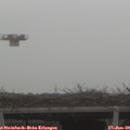 11_40-mast.jpg