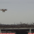 11_55-mast.jpg
