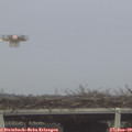 12_00-mast.jpg