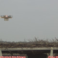 12_05-mast.jpg