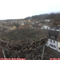 12_05-nest.jpg