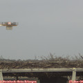 12_10-mast.jpg