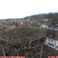 12_10-nest.jpg
