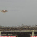 12_15-mast.jpg