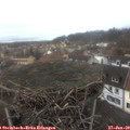 12_20-nest.jpg