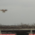 12_35-mast.jpg