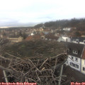 12_35-nest.jpg