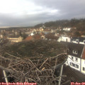 12_40-nest.jpg