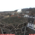 13_05-nest.jpg