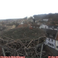13_30-nest.jpg
