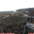 13_40-nest.jpg