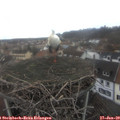 14_00-nest.jpg