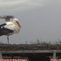 14_05-mast.jpg