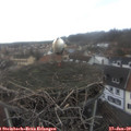 14_05-nest.jpg