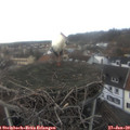 14_20-nest.jpg
