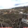 14_30-nest.jpg