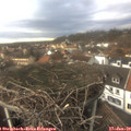 14_35-nest.jpg