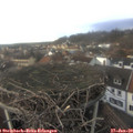14_40-nest.jpg