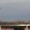 14_45-mast.jpg