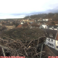 14_45-nest.jpg