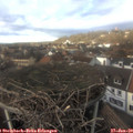14_50-nest.jpg