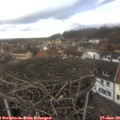 14_55-nest.jpg