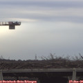 15_00-mast.jpg