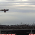 15_05-mast.jpg
