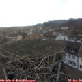 15_05-nest.jpg