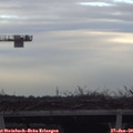15_10-mast.jpg