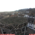 15_10-nest.jpg