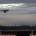15_15-mast.jpg