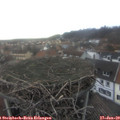 15_15-nest.jpg
