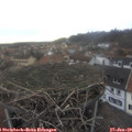 15_20-nest.jpg