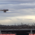 15_25-mast.jpg