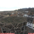 15_25-nest.jpg