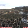 15_30-nest.jpg