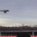 15_35-mast.jpg