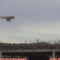 15_40-mast.jpg