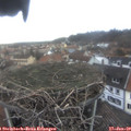 15_40-nest.jpg