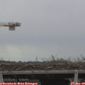 15_45-mast.jpg