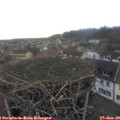 15_50-nest.jpg