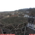 16_00-nest.jpg