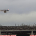 16_05-mast.jpg