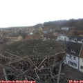 16_05-nest.jpg